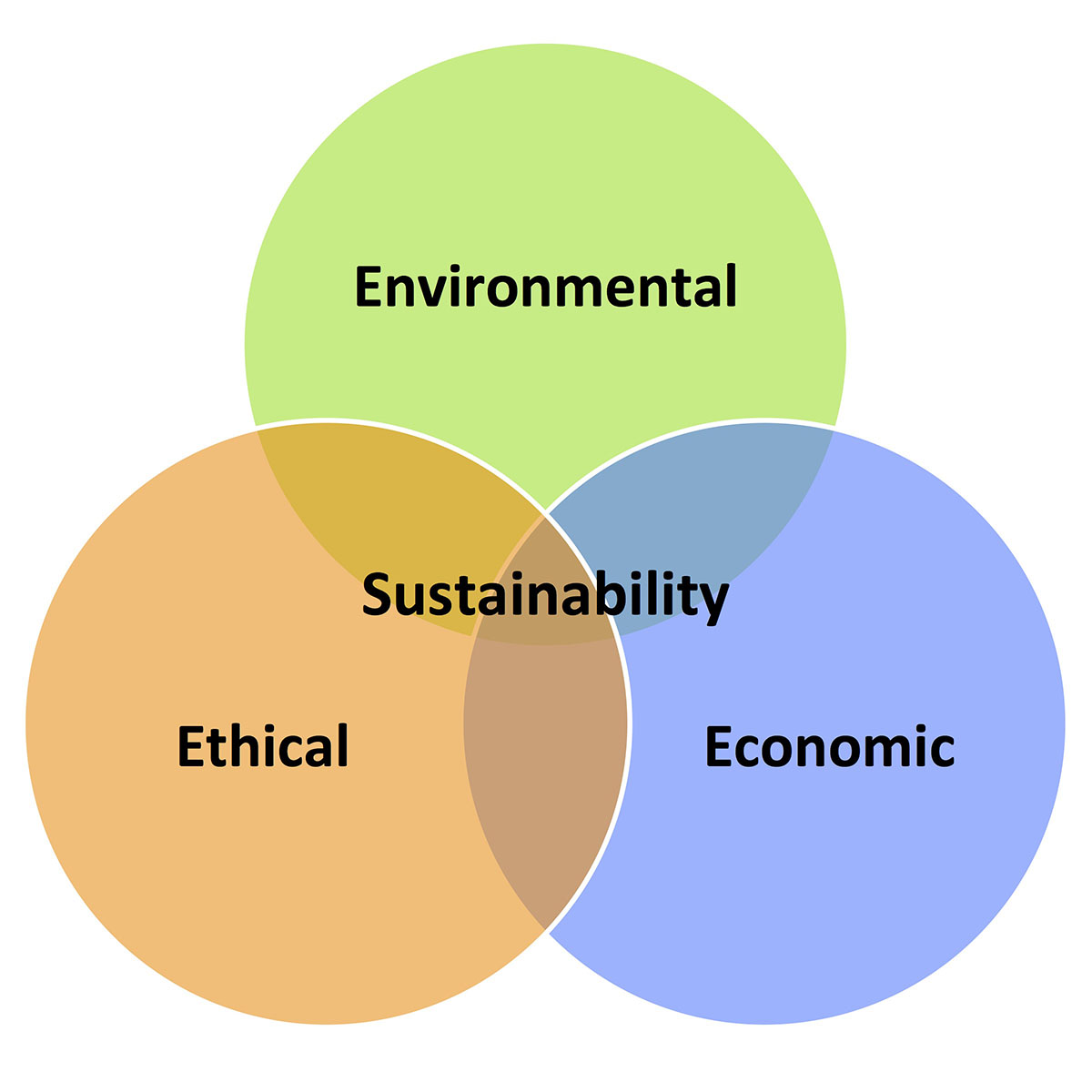 The Third E of Sustainable Development