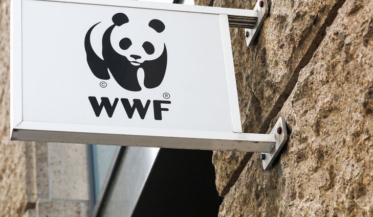 No, Virginia, World Wildlife Fund is no Saint