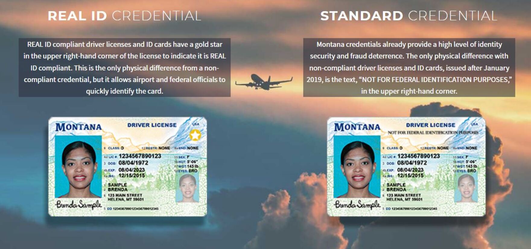 The Real ID Act 2005 – Official Purposes and Your Biometrics